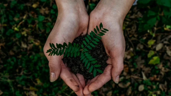 noah-buscher-x8ZStukS2PM-unsplash